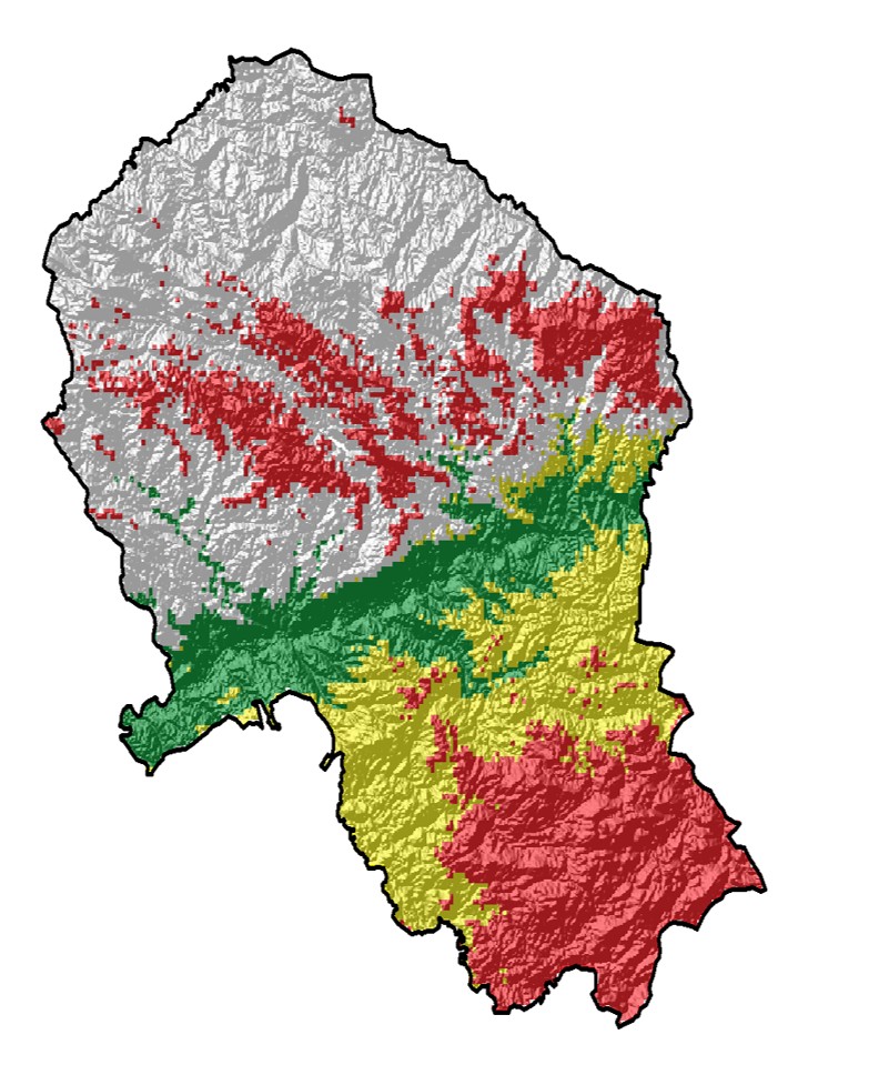 Regionalización fenológica del olivar